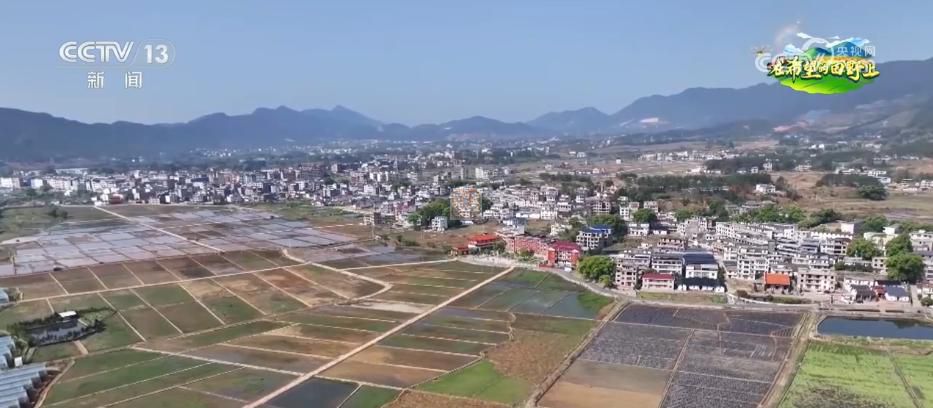 AI模型、“北斗”、物聯(lián)網(wǎng)……智慧農(nóng)業(yè)成為田間地頭新常態(tài)(圖13)